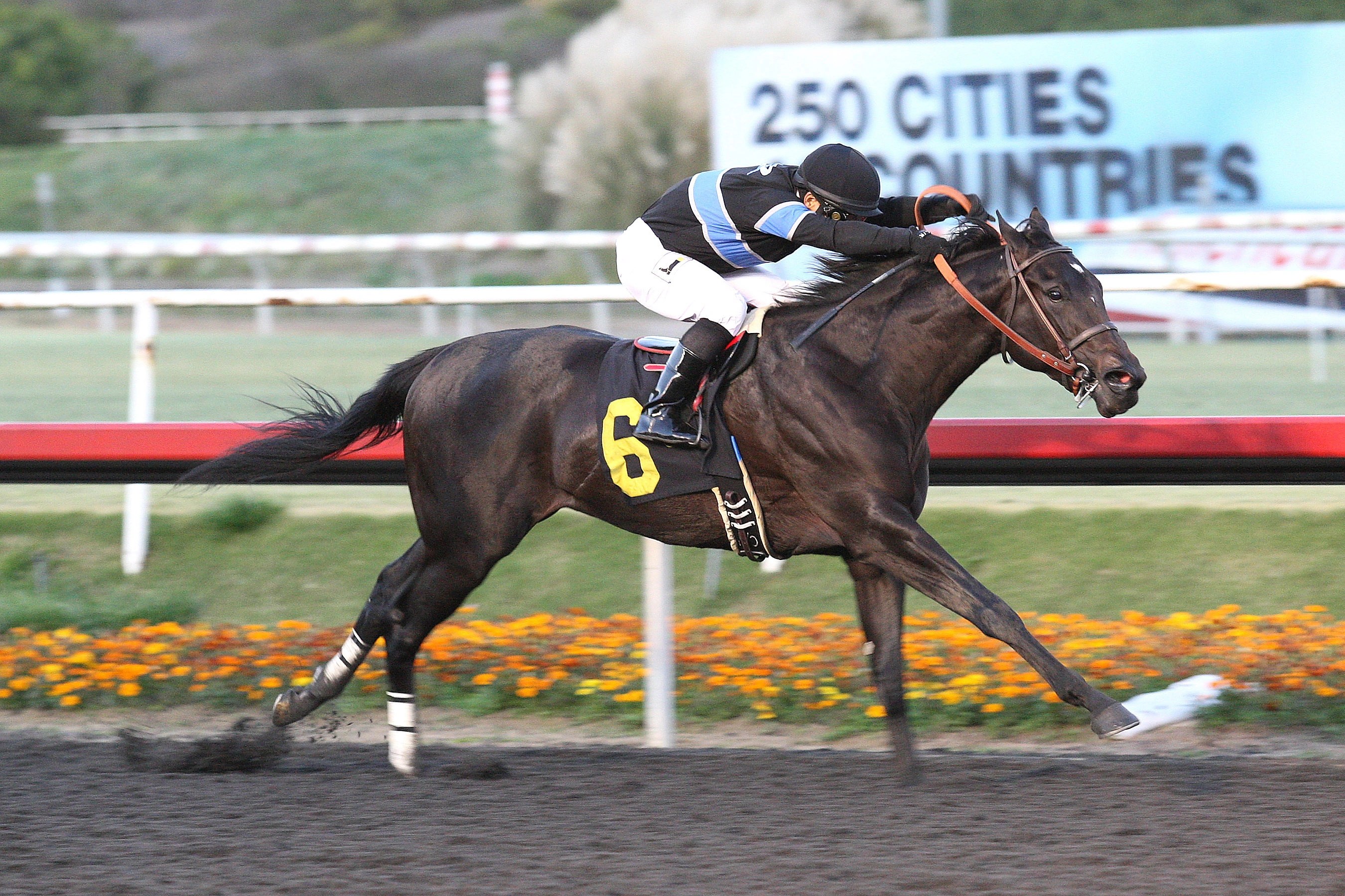 Kentucky Derby For jockeys, finding the best mount can be a game of